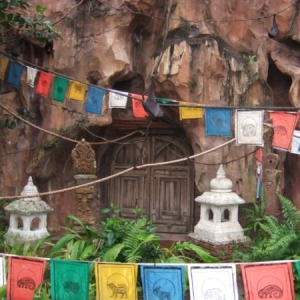 Animal Kingdom