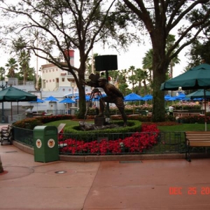 Poinsettias