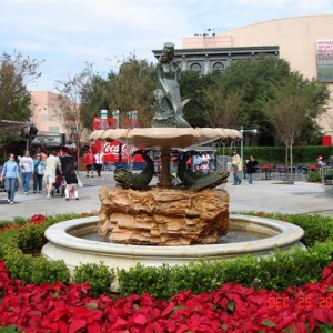 More Poinsettias
