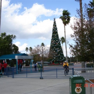 Christmas tree i