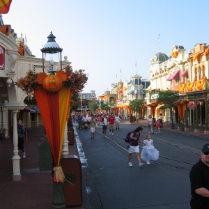 IMG_3636_1