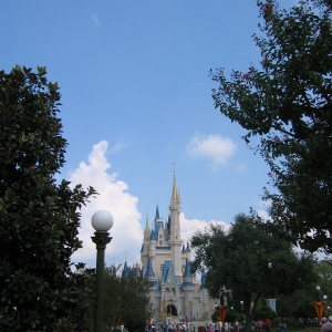 IMG_3645_1