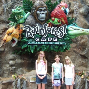 Rainforest Cafe, Downtown Disney