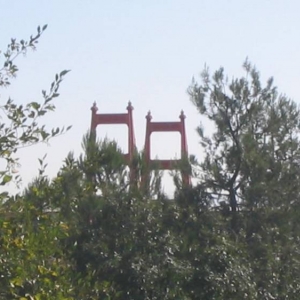 San_Diego-Disneyland_001_V_