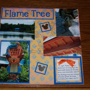Flame_Tree_resize