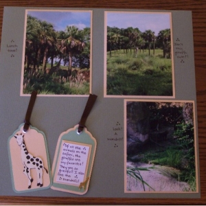 KS_3_giraffe_resize