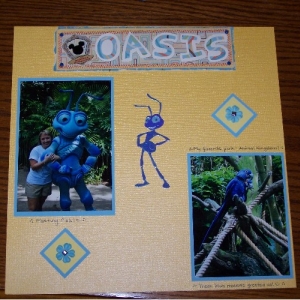 Oasis_resize