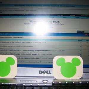 lime green mickey and the PTR forum