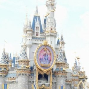 WDW5