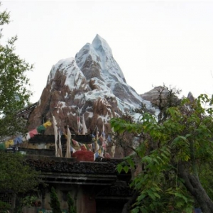 Animal Kingdom