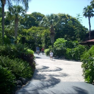 Poly Path from TTC