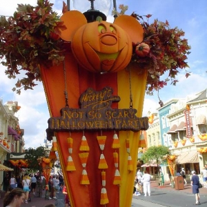 MNSSHP4
