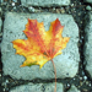 leaf1
