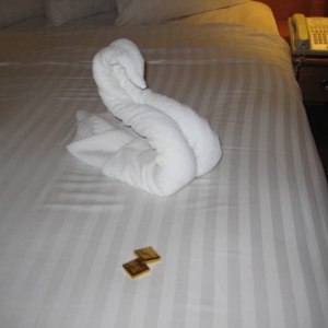 towel_animal_1