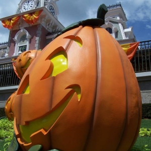 MNSSHP decor