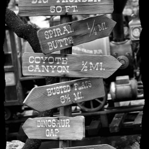 Photo Contest B & W