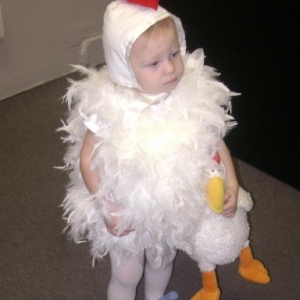 chicken
