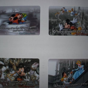 P_P_card