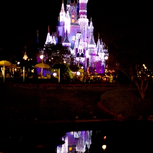 Cinderella's Castle