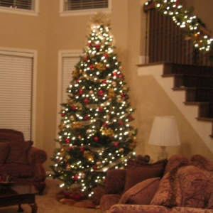 tree07_001