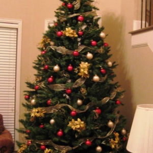 tree07_002