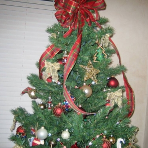 tree07_005