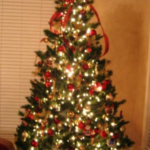tree07_006