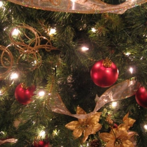 tree07_009