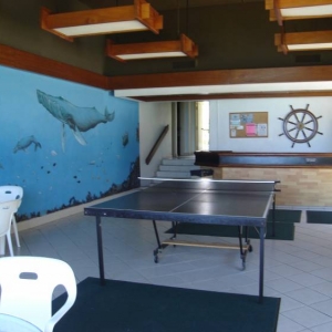 Hawaiian_Princess_Gameroom