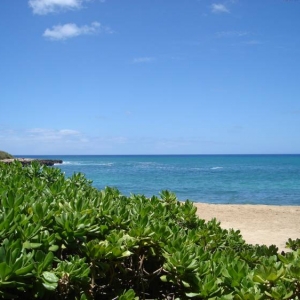 Hawaiian_Princess_Beach_2