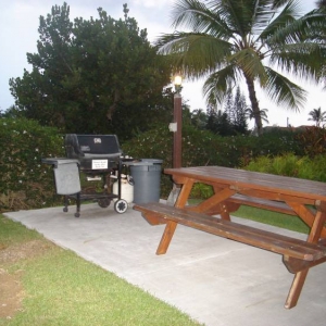 Kona_Coast_II_Picnic_Area