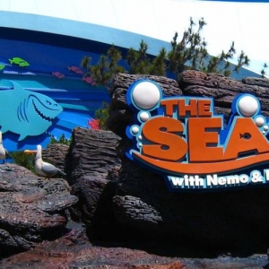 Seagulls at Nemo Ride