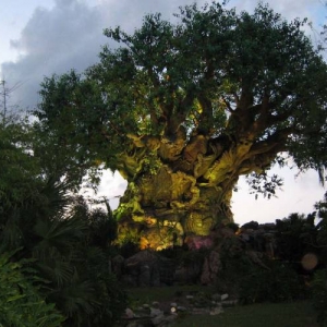 20070414 AK Tree of Life at night