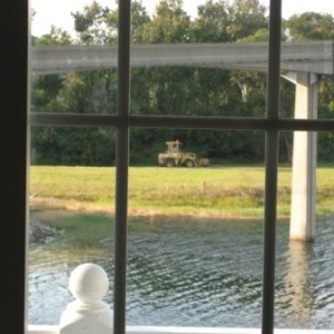 View from 5320 Monorail