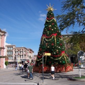newyorkparkxmas5_tree