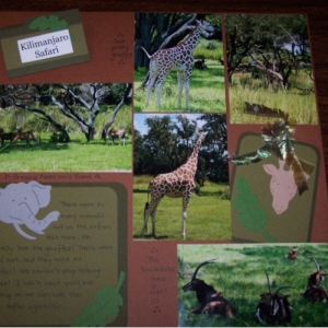 Safari_Amy