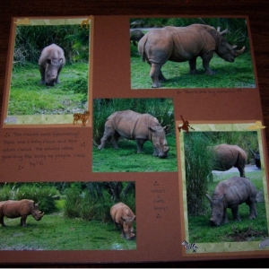 Safari_mats