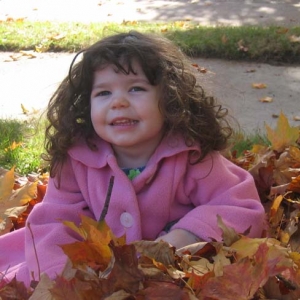 lilyleaves