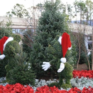 Epcot 12/07