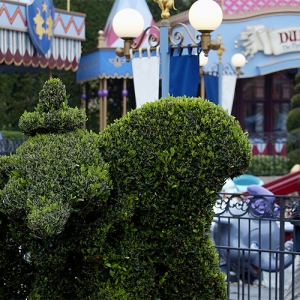 Dumbo topiary