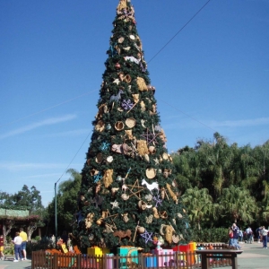 Animal Kingdom Tree
