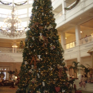 Grand Floridian Tree