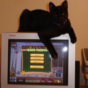computer_time