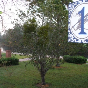 146