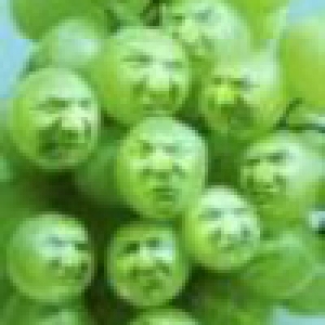 sour_grapes