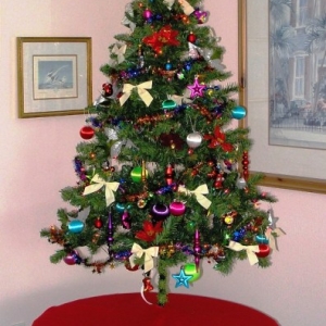 OKW Tree 3 2007