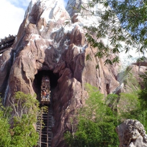 Everest Train