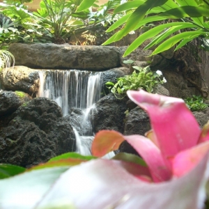 Polynesian Waterfall