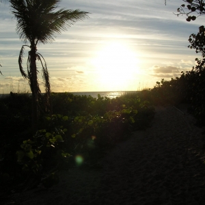 Run_for_Miracles_5k_Beach_shot_010608