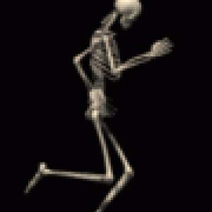 439457519_s
